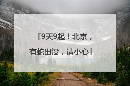 9天9起！北京，有蛇出没，请小心