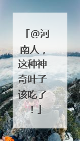 @河南人，这种神奇叶子该吃了！
