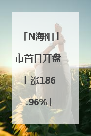 N海阳上市首日开盘上涨186.96%