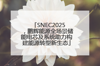 SNEC2025，鹏辉能源全场景储能电芯及系统助力构建能源转型新生态