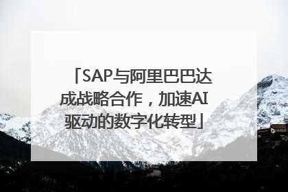 SAP与阿里巴巴达成战略合作，加速AI驱动的数字化转型